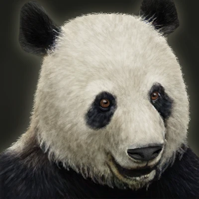 Pete-Pete the Pet Panda