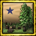 Pine Tree State