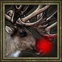 Reindeer