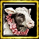 Ritual Bovine