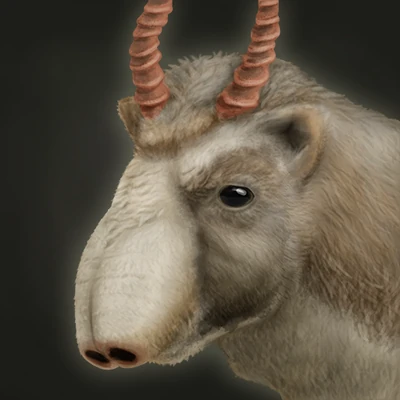 Saiga