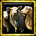 Selective Breeding