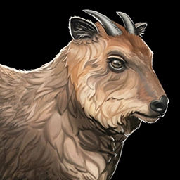 Serow