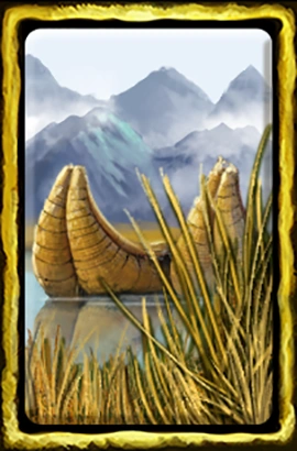 Totora Reeds