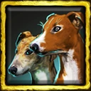 Village Dogs
