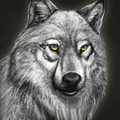 White Wolf