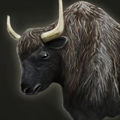 Yak