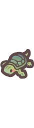 Baby Pond Turtle