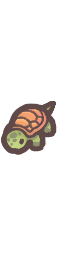 Baby Turtle