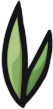 Bamboo Leaves