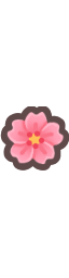 Cherry Blossom
