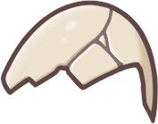 Eggshell
