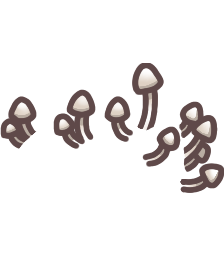 Growing White Mushrooms