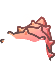 Hermit Crab Shell