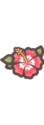 Hibiscus Flower