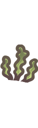 Kelp
