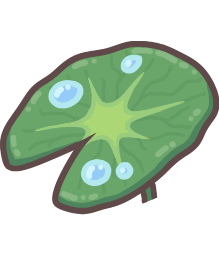 Lotus Leaf Umbrella