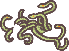 Medusa Snakes