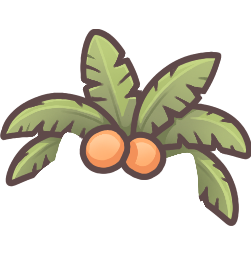 Palm Tree Leaves