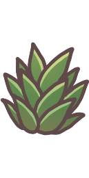 Pineapple Leaves