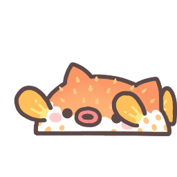 Puffer Fish