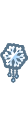 Snowflake Pin