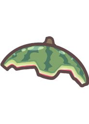 Watermelon Helmet