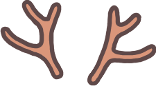 Young Stag Antlers