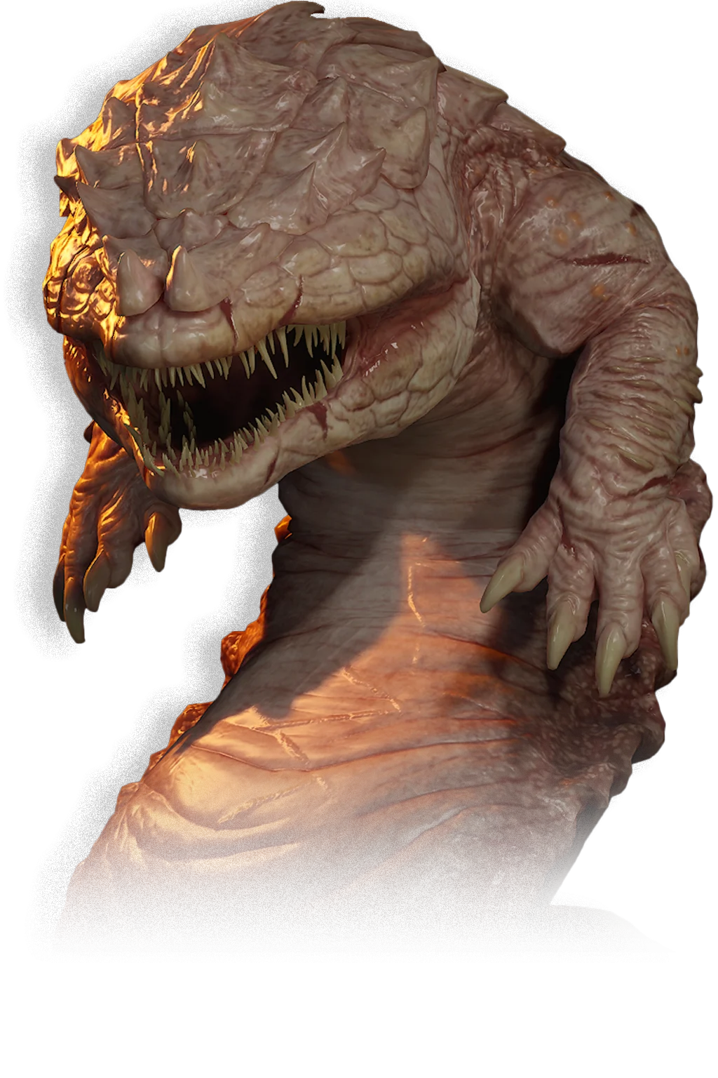 Salamander