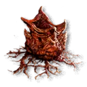 Anachora Ivy