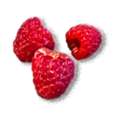 Raspberry
