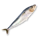 Raw Fish