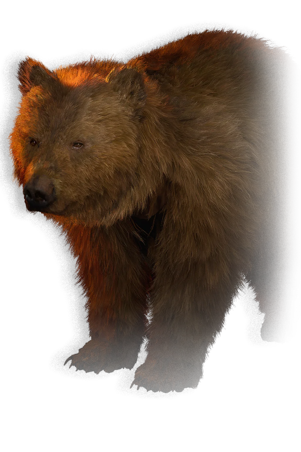 Ravenous Bear