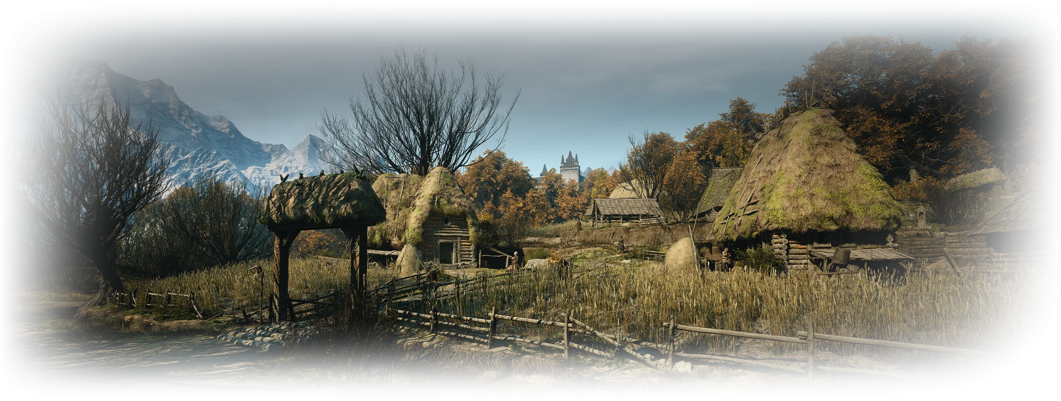 Tantari Woods