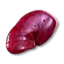 Wild Boar Kidney