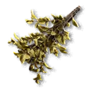 Anca's Herbs