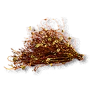 Razkovniche Plant