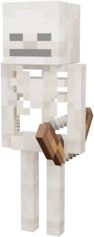 Skeleton
